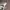 Funko Pop! Rocks –  Danger Days Gerard Way MCR (Special Edit photo 9