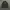 Tommy Hilfiger canvas parka jacket photo 2