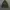 Tommy Hilfiger canvas parka jacket photo 1