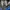 The North Face Gorpcore Casual Windbreaker Pria blue photo 4