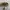 Cueg Pamensky Realtree Hats photo 3