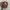 Realtree Xtra Ofc Buildup Hats photo 1