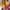 Top herve impor  photo 10