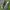 Merrell Trail Run Wide photo 3