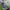 Merrell Trail Run Wide photo 6