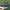 Merrell Trail Run Wide photo 8