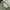 Hbt Fatigue pants the great vintage military og 107 pants photo 3
