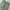 Hbt Fatigue pants the great vintage military og 107 pants photo 2