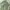 Hbt Fatigue pants the great vintage military og 107 pants photo 5