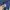Carhartt Casual Sweater Pria blue photo 5
