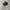 Vintage NFL Dallas Cowboys Hat photo 2
