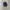 Vintage NFL Dallas Cowboys Hat photo 1