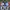 Vans Knu Skool PT GMG photo 3