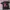 my bloody valentine shoegaze band merch bootleg  photo 1