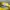 Topi Visor Cap Bolong FILA Outdoor Yellow Adjustable Second  photo 4