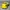 Topi Visor Cap Bolong FILA Outdoor Yellow Adjustable Second 