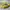 Topi Visor Cap Bolong FILA Outdoor Yellow Adjustable Second  photo 5