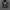 Hoodie NETS NBA photo 1