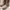 TIMBERLAND Wheat Roll Top Boots photo 5