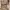 TIMBERLAND Wheat Roll Top Boots photo 7