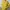 Vintage Yellow Flight Bomber Jacket Cricle Nylon Boxy Fit