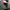 Lafuma Visor Running Outdoor  photo 2