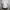 Cinema Club Stripe White Button Shirt
