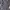 Kemeja Armani Exchange Slim Charcoal Shirt Versatile Wardrob photo 4
