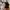 Charles & Keith Bag Calla Tote Bag L Espresso photo 8