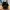 Charles & Keith Bag Calla Tote Bag L Espresso photo 7