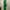 ZARA Luxury Prom Dress Wanita Green