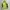 Landas Outdoor Jacket