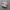 vans old schol photo 1