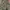 OTHMAN CAMO JACKET photo 2
