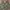 OTHMAN CAMO JACKET photo 4