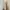 Shadow and Bone (Bayang dan Belulang) by Leigh Bardugo photo 3