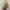 Shadow and Bone (Bayang dan Belulang) by Leigh Bardugo photo 4