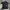 Le Coq Sportif Running Shirt photo 1