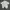 Vintage Sportswear Jersey Pria white black photo 1