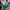 Parra Six Pannels Unstructed Snapback  photo 1