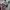 Parra Six Pannels Unstructed Snapback  photo 2