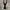 black mette velvet photo 1