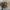 CED Steamboat Realtree Hats by Port Authority photo 1