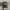 CED Steamboat Realtree Hats by Port Authority photo 2