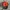 CED Steamboat Realtree Hats by Port Authority photo 4
