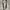 Y2k Brown Belt