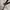 y2k brown belt photo 2