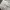 Streetwear Lolita Sweater Wanita multicolor white photo 5