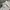 Streetwear Lolita Sweater Wanita multicolor white photo 3