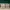 Komik Ruler of the Land (Full Segel) Set 1-52 photo 1